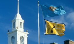Delaware state flag