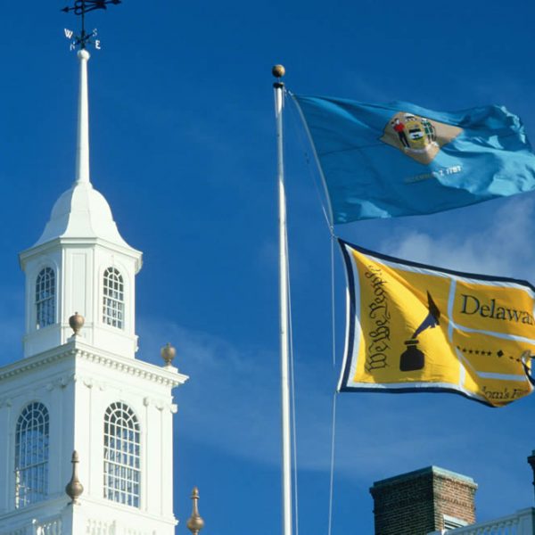 Delaware state flag