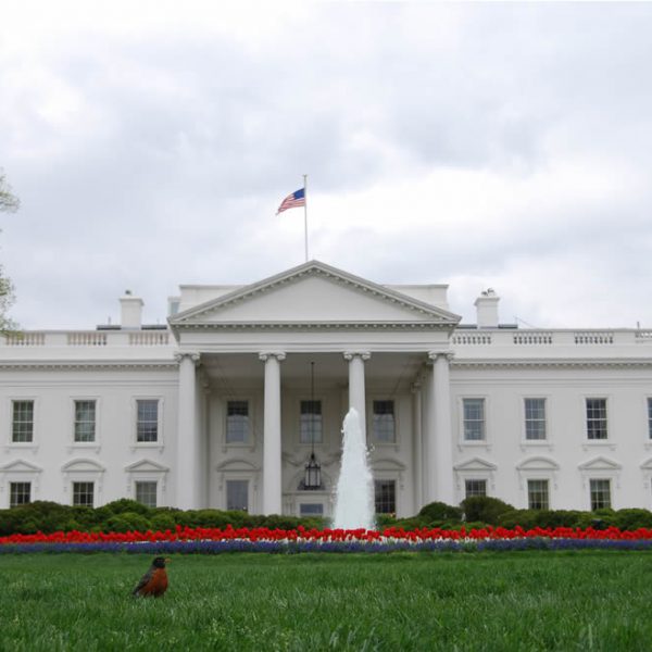 White House legal online poker petition