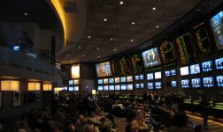 Legal sports betting