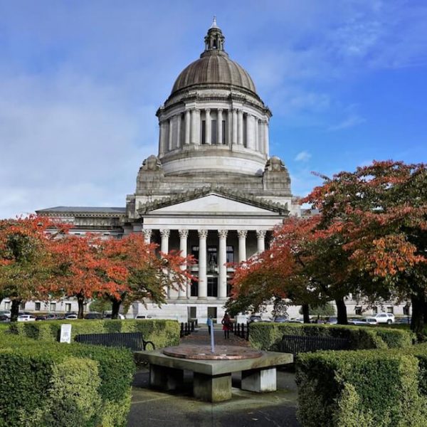 Washington poker DFS
