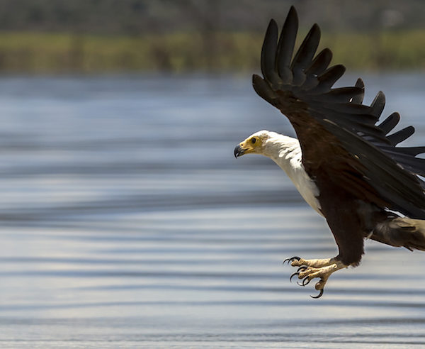 A complete Weekend guide for US online poker players for the weekend of April 17-19.
