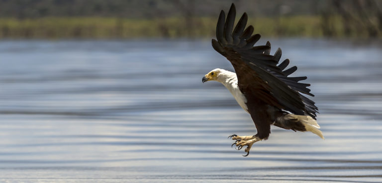 US ONLINE POKER TOURNAMENT GUIDE: Weekend of April 17-19, 2020