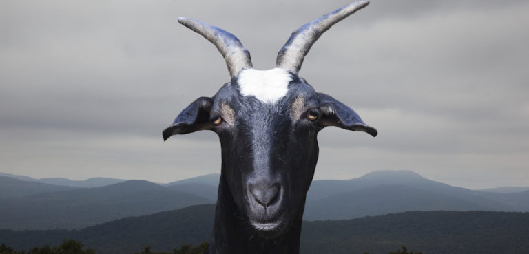 HOOF IT: Global Poker’s GOAT Series Returns with Seven-Figure Guarantee