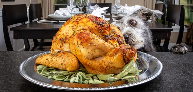 HOLIDAY HOLD’EM: Global Poker Serves Up ‘Big Bird’ Sunday Scrimmage With Bonus Prizes; Eagle Cup Flies High