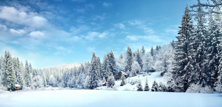 Double the Fun at WSOP.com in February: Online Circuit Series, Winter Championships